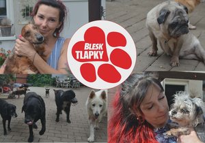 Blesk tlapky podpoří psí hospic: Dostane výtěžek festivalové tomboly. Přispějte i ve speciální sbírce