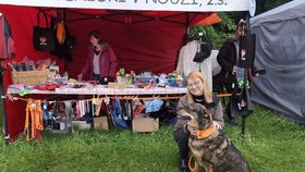 Nový domov hledala na festivalu i fenka Roxy, kterou má v péči spolek Psí senioři v nouzi.