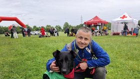 Po novém páníčkovi se na festivalu poohlížela i fenka Engie, kterou má v péči spolek Dočasky De De.