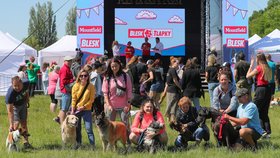 Festival Blesk tlapky v Praze na Vypichu (3.6.2023)