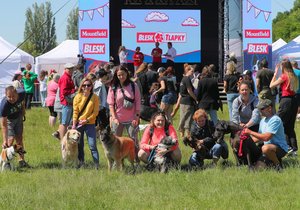 Festival Blesk tlapky v Praze na Vypichu (3.6.2023)