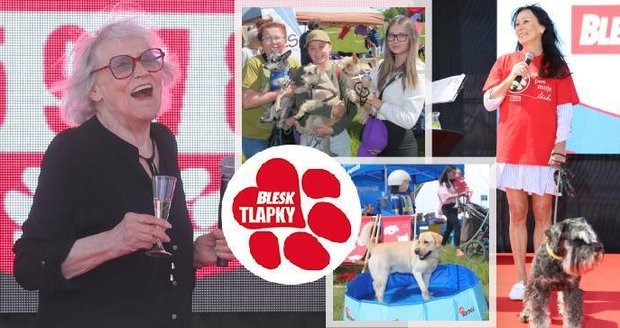 To nejlepší z festivalu Blesk tlapek: Kubišová křtila SOS linku, Nancy z útulku našla štěstí