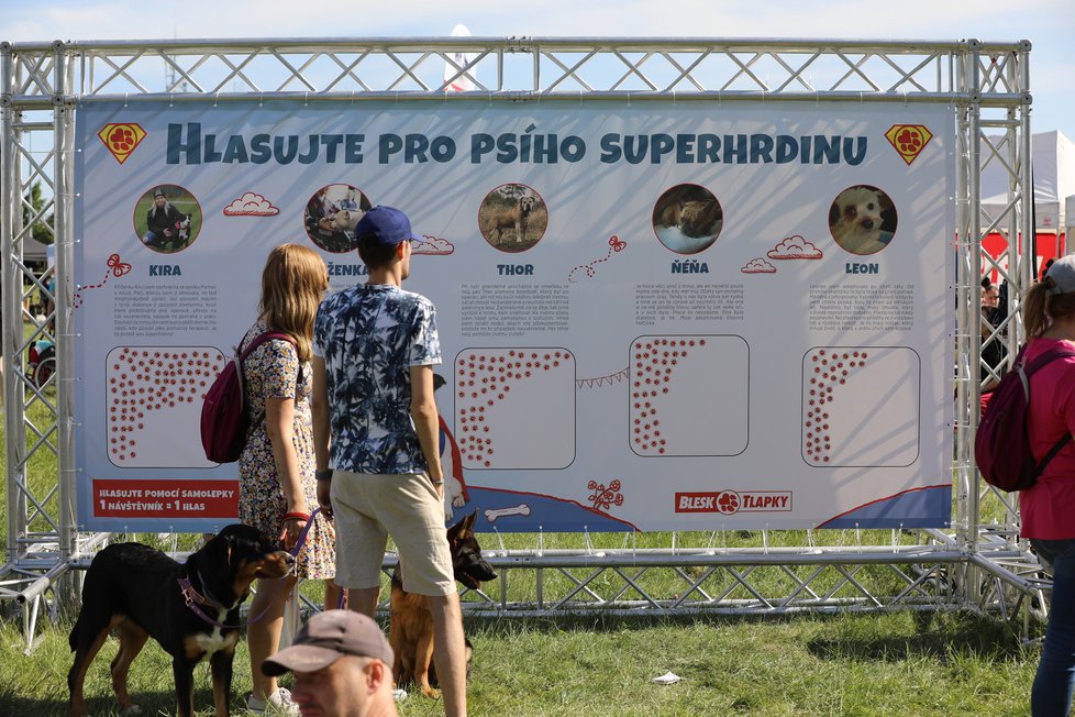 2. ročník Festivalu Blesk tlapek proběhl opět v Praze na Vypichu (3.6.2023)