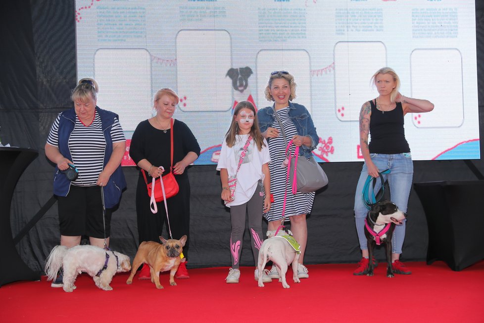 Loni jsme na Festivalu Blesk tlapek ocenili psí hrdiny, letos hledáme psí talenty.