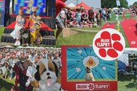 Největší psí akce, Festival Blesk tlapek, se blíží! Už za týden to vypukne