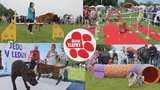 Pátý ročník Festivalu Blesk tlapek už zítra: Nabitý program a hvězdná setkání!