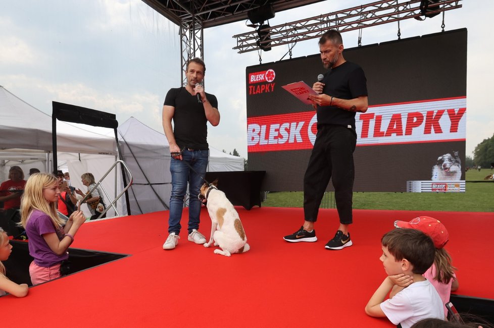 Filmový Gump na festivalu Blesk tlapek.