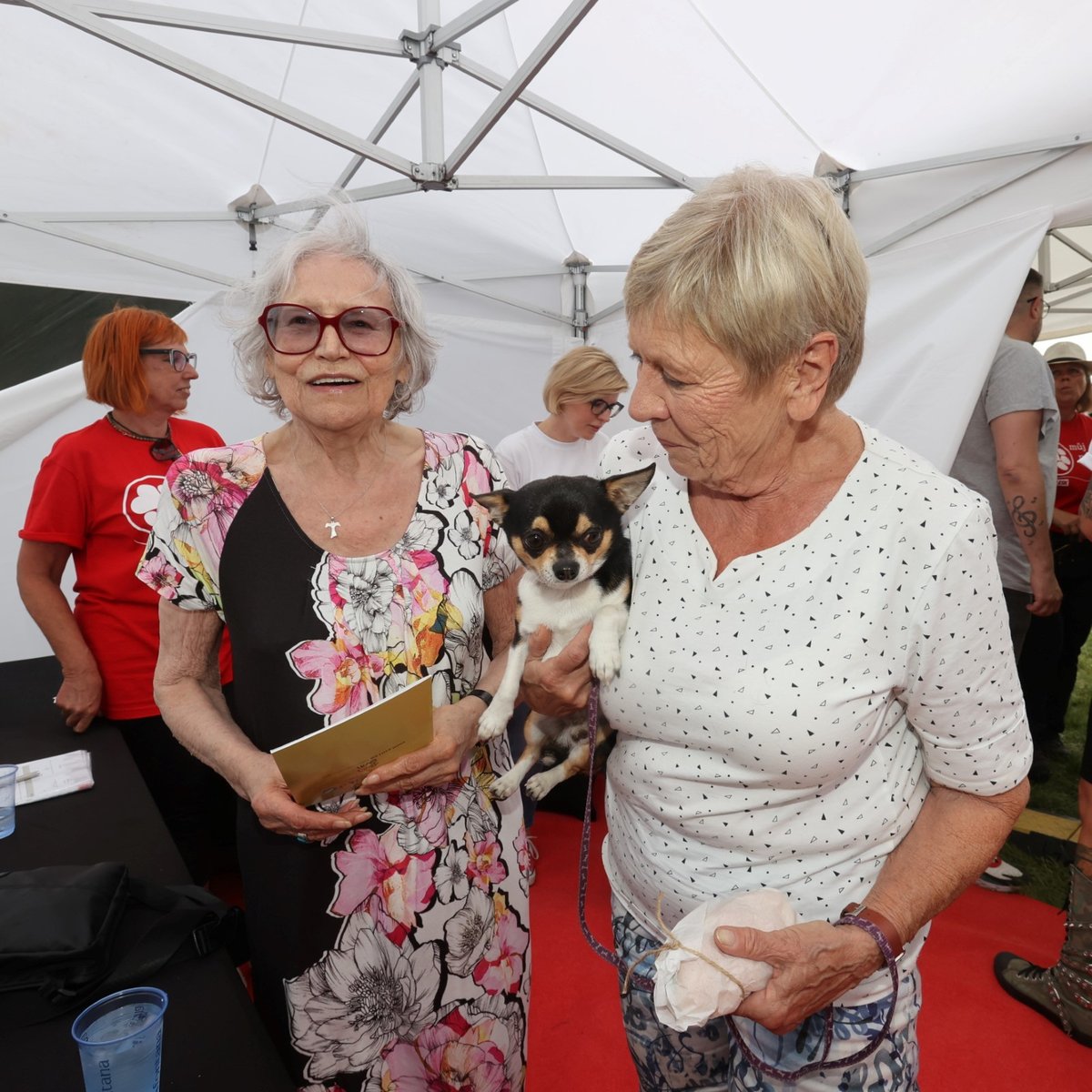 Zpěvačka Marta Kubišová a herečka Jaroslava Obermaierová na festivalu Blesk tlapek.