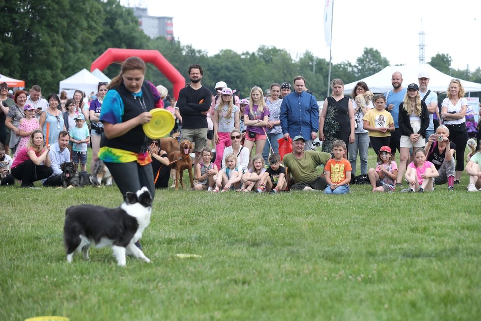 Ukázky sportů na festivalu Blesk tlapek.