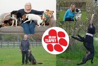 Festival Blesk tlapek: Zábava, soutěže i trocha poučení pro páníčky a jejich psí parťáky