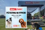 Přípravy na festival Blesk tlapek vrcholí.