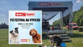 Přípravy na festival Blesk tlapek vrcholí.