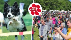 Festival Blesk tlapek startuje už zítra.