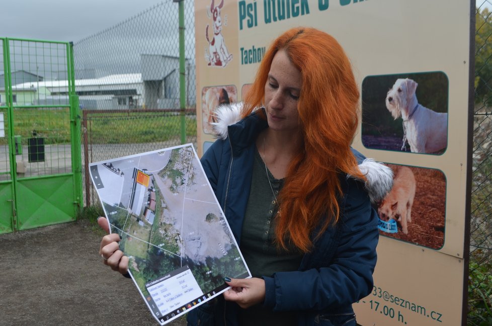 Stávající kotce v Tachově nestačí, útulek se proto rozroste