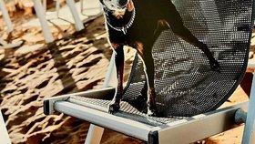 Kalendáře spolku Dejte nám šanci.