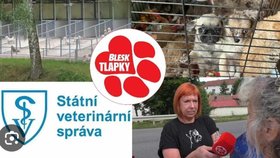 Obří množírna ve Vinařicích: Stovky psů jako hospodářská zvířata! Podle veterinářů v&nbsp;pořádku