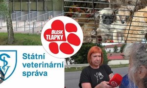 Obří množírna ve Vinařicích: Stovky psů jako hospodářská zvířata! Podle veterinářů v pořádku