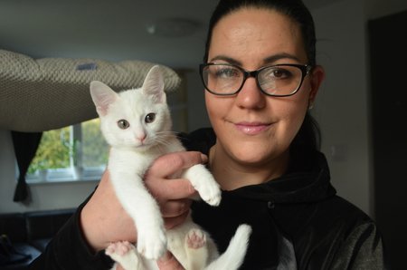 Kočičku, která byla zřejmě nechtěným vánočním dárkem, má v dočasné péči Alžběta Poláková Šmídová
