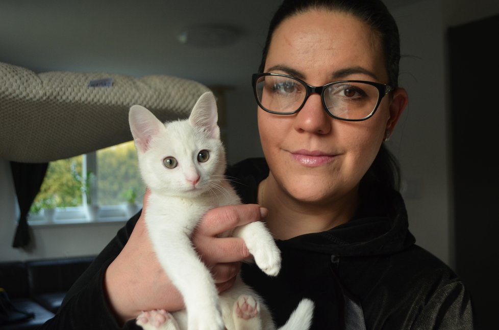 Kočičku, která byla zřejmě nechtěným vánočním dárkem, má v dočasné péči Alžběta Poláková Šmídová