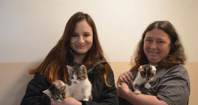 Vedoucí útulku Anežka Formanová (vlevo) se svou kolegyní a koťaty k adopci