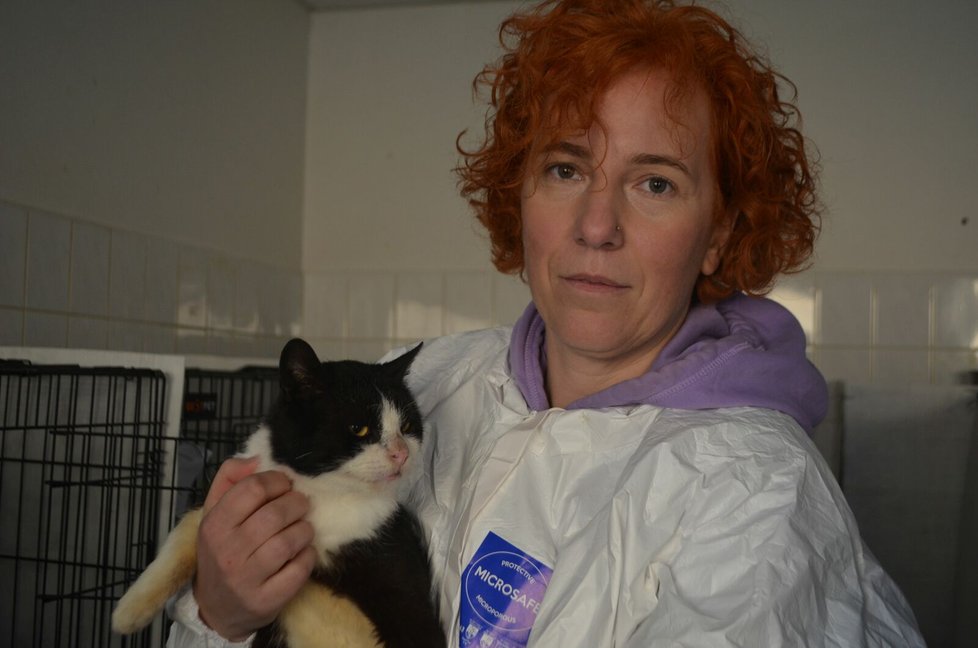 „Některé z koček jsou mazlivé,“ ukázala vedoucí útulku Renata Kristková.