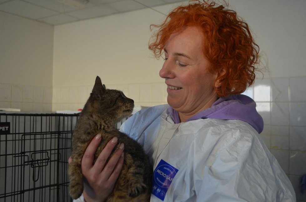 „Některé z koček jsou mazlivé,“ ukázala vedoucí útulku Renata Kristková