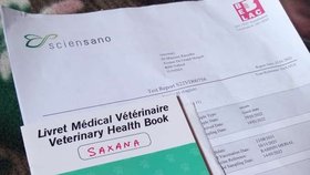 K převozu do Česka bylo potřeba vyřídit řadu veterinárních a dalších formalit