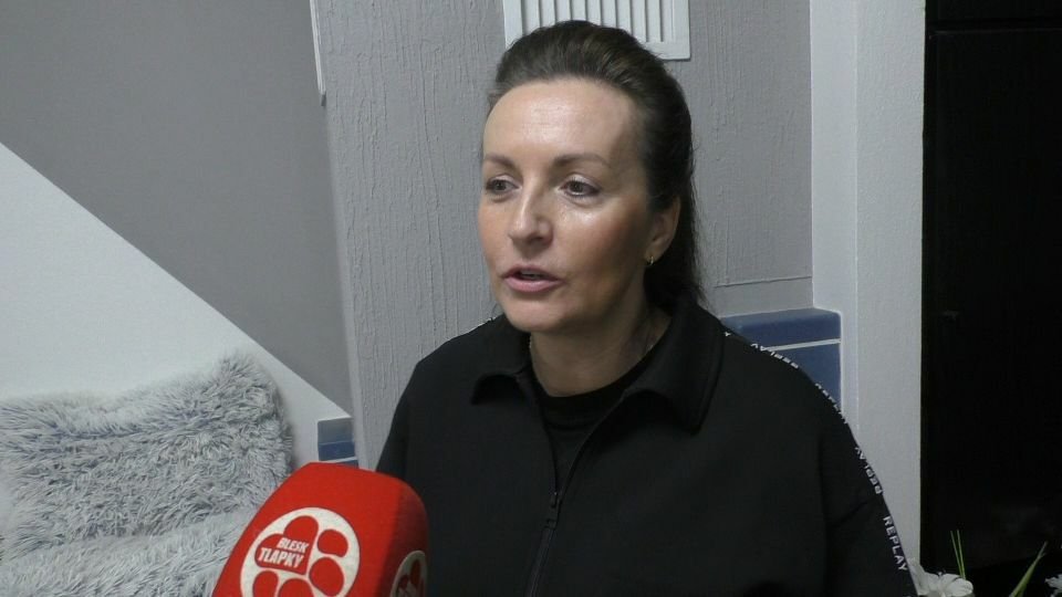 Jitka Šebková popsala Blesk tlapkám otřesnou zkušenost s chovatelkou Violettou Dosedělovou