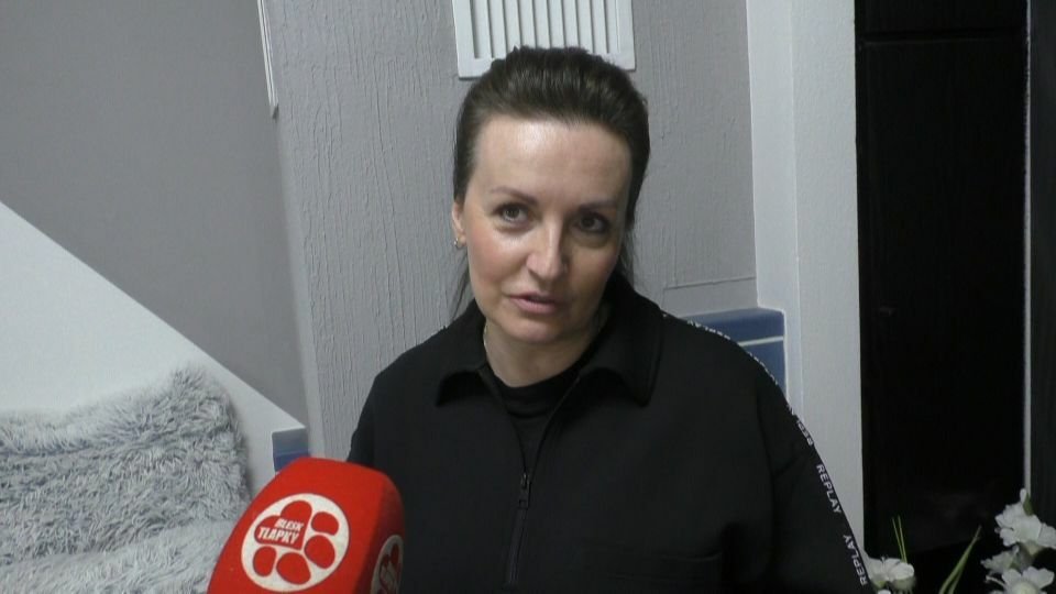 Jitka Šebková popsala Blesk tlapkám otřesnou zkušenost s chovatelkou Violettou Dosedělovou
