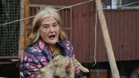 Rozlobená seniorka ukázala mrtvou kočku, kterou jí podle jejích slov nepřející lidé zabili