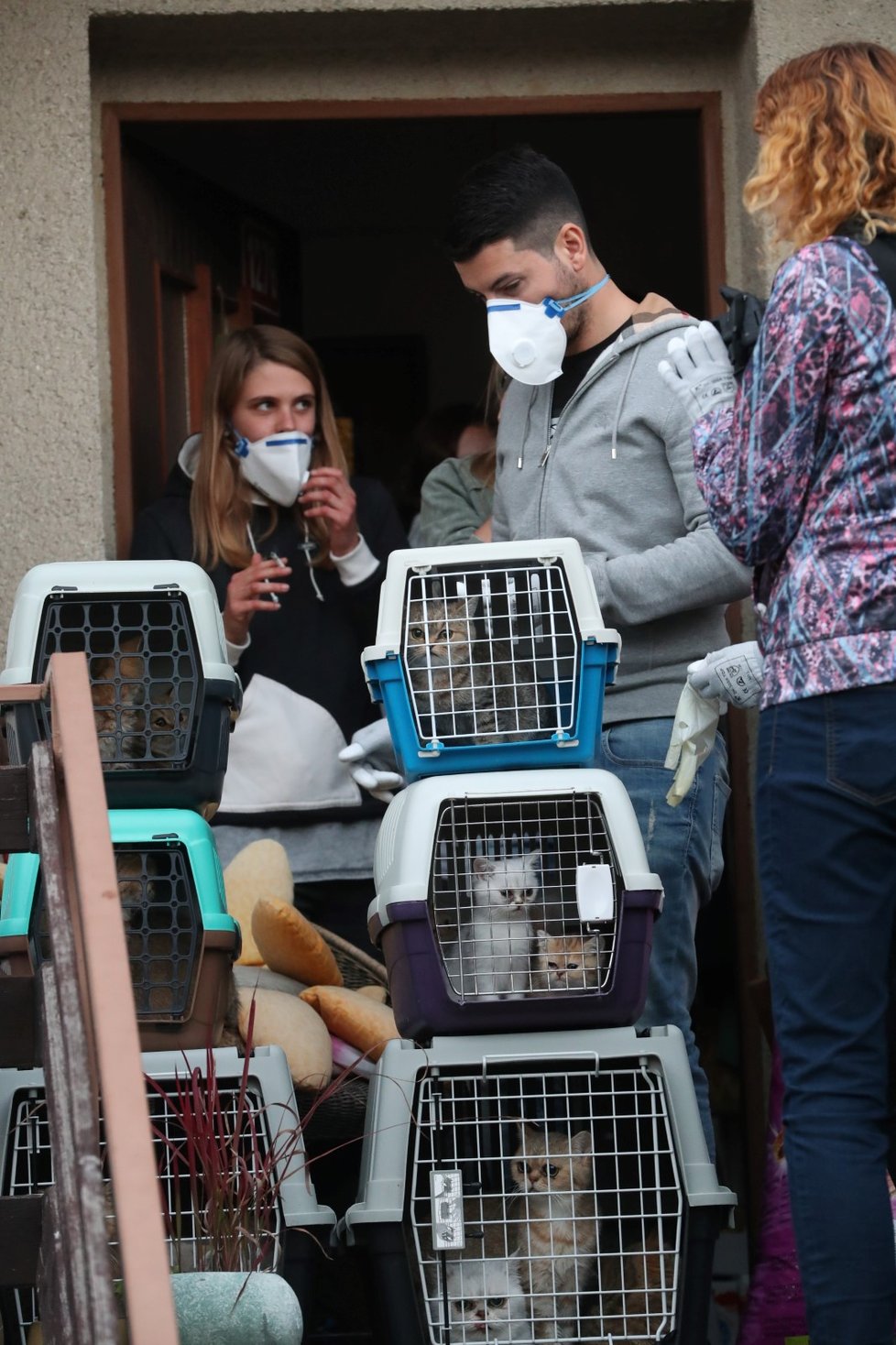 Veterináři už na místě rozhodli o odebrání zvířat.