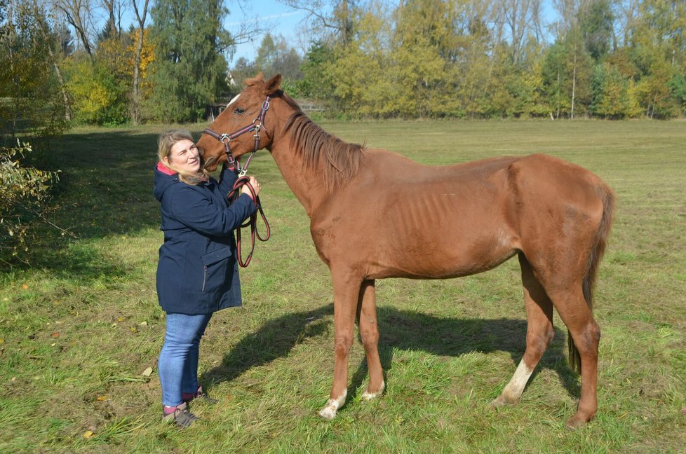 Kristýna Hezinová má teď Marušku ustájenou u sebe v dočasné péči.