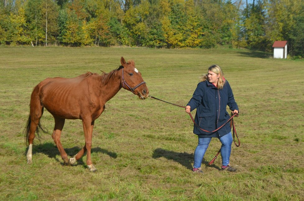 Kristýna Hezinová se o Marušku teď stará, ošetřuje jí podlomy a hlavně ji zakrmuje.