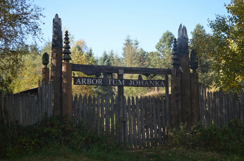 Arboretum chátrá a zarůstá plevelem.