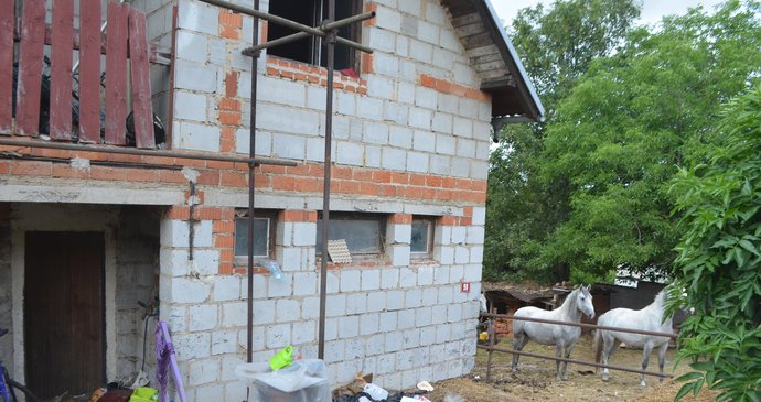 Úředníci nezvládli koně odebrat, a tak je na odpadky a harampádím zaneřáděném pozemku Marie Vránkové ponechali