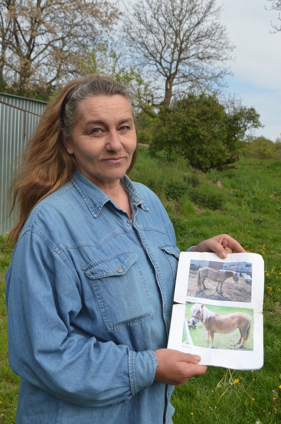 Zvířata z Číčovic je ochotná vzít k sobě i Hana Kubáňová z Knínic, která se už v minulosti ujala několika týraných koní odebraných ze Všenor