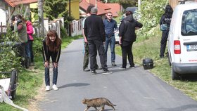 Pes a kočky skončili v útulku Bouchalka