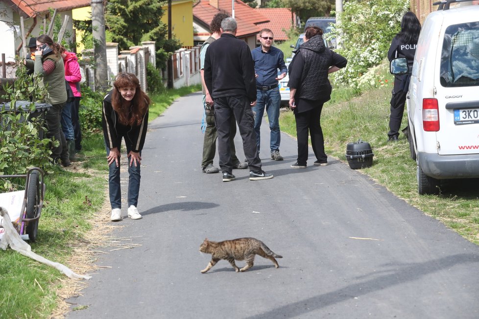 Pes a kočky skončili v útulku Bouchalka