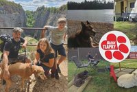 Nepodceňujte dovolenou se svým čtyřnohým parťákem. Sbalte mu potřebnou výbavu