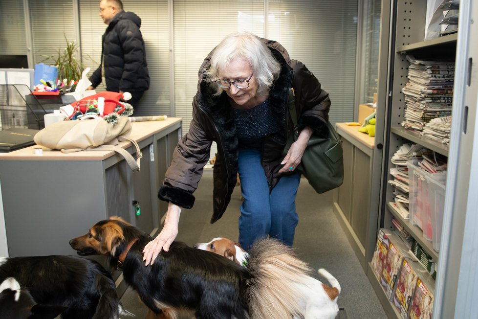 Marta Kubišová se v redakci pozdravila s adoptovanými pejsky.