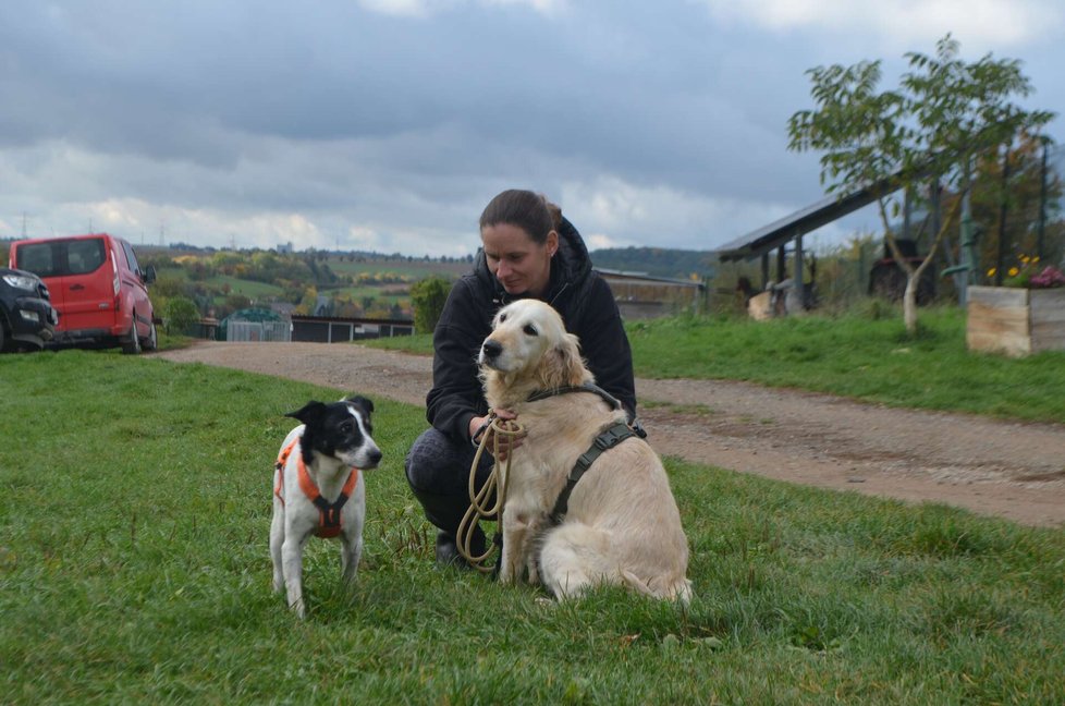 O část psů z Odrovic se starají i ve  Voříškově. Vpravo je jeden z nich, vlevo pejsek z Azylu Tylda O část psů z Odrovic se starají i ve  Voříškově. Vpravo je jeden z nich, vlevo pejsek z Azylu Tylda