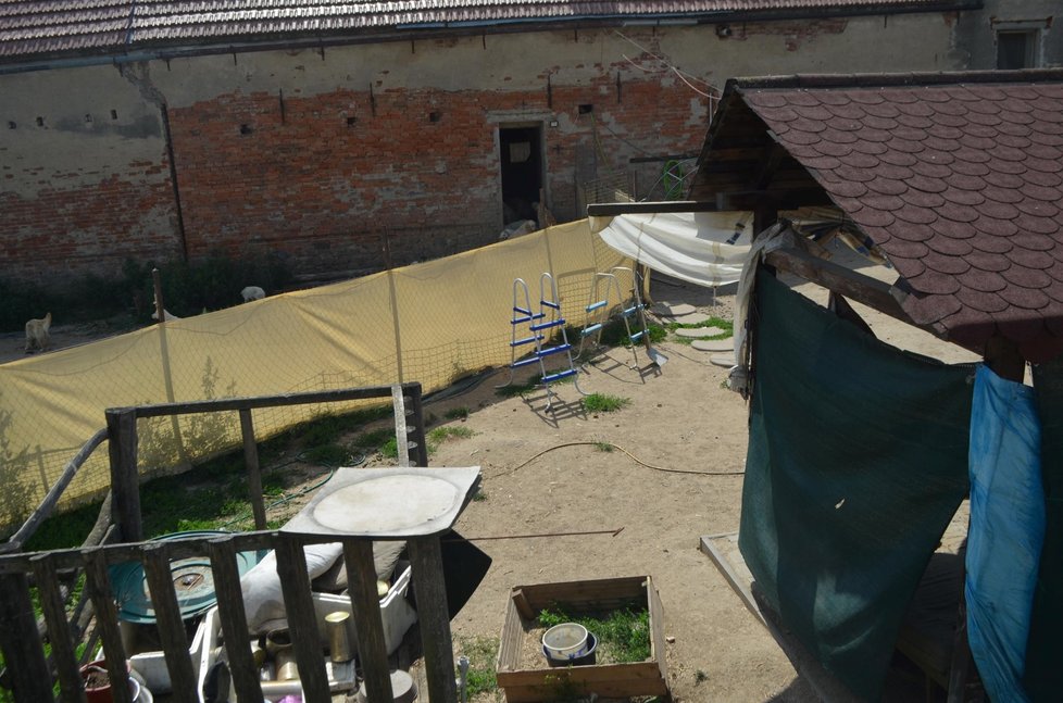 Množitelka z Odrovic na jihu Moravy zametá stopy. Dvůr částečně uklidila a obehnala plachtou, aby na něj nebylo vidět. Psy zřejmě zavřela do domu a stodoly (19. 7. 2021).