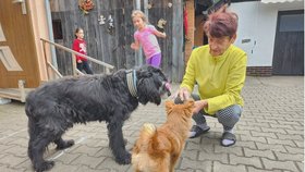 Maminka paní Marie má Beníka jako společníka.