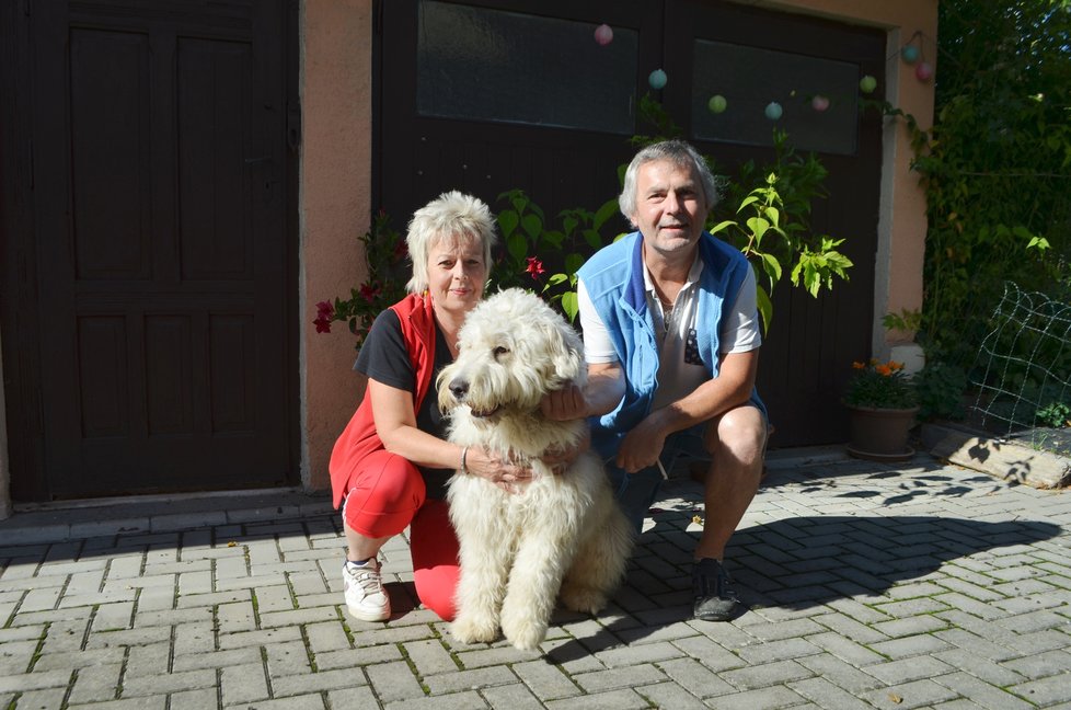 Na akci nebude chybět ani maskot Blesk tlapek, něžný obr Arnošt, dříve Argo, se svou adoptivní rodinou.