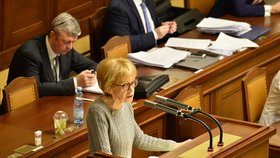 Sněmovna projednávala přísnější tresty za množírny, zůstala na půl cesty: Helena Válková. (ANO, 18. 12. 2019)