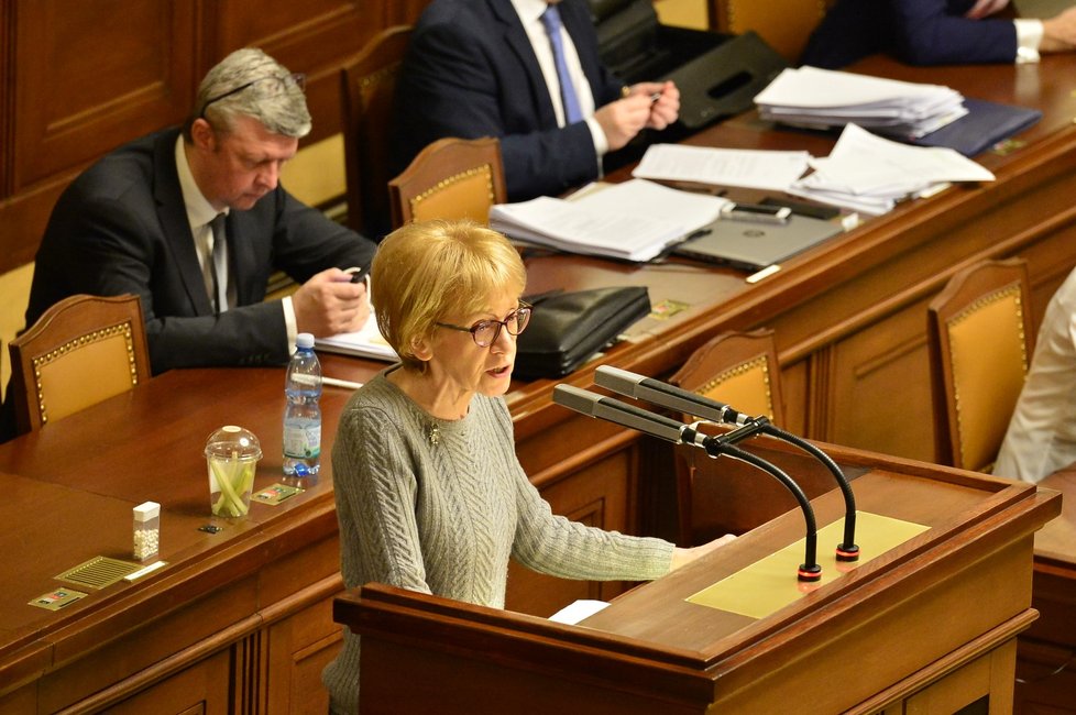 Sněmovna projednávala přísnější tresty za množírny, zůstala na půl cesty: Helena Válková (ANO, 18. 12. 2019)