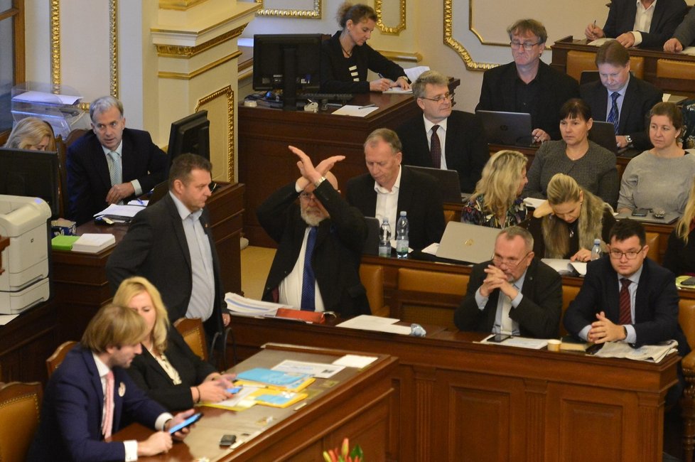Poslanecká sněmovna Parlamentu ČR (18. 12. 2019)