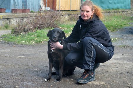 Aiša je podle šéfové spolku Martiny Gilchové miláčkem útulku