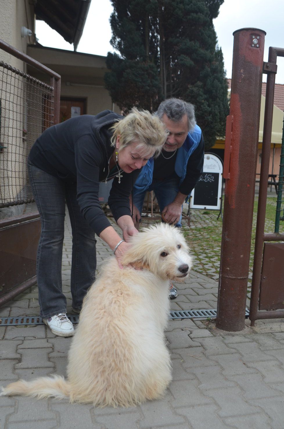 Manželé Tomešovi se na Arga velice těšili a náležitě ho také přivítali