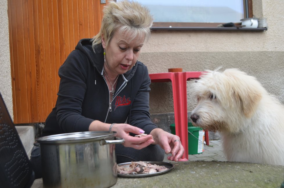 Paní Tomešová uvařila Argovi na uvítanou celé kuře. Okamžitě si ho tím získala